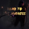 Numb To the Madness - Single