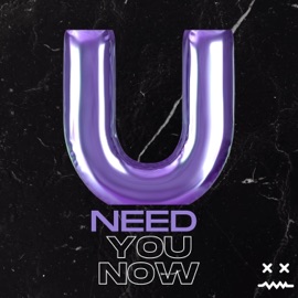 Need You Now Bad K Records