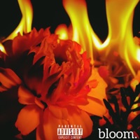 Bloom. - Single - ISAACAMARGO, KARMYN AVRA & E L I I I 3 I ' S