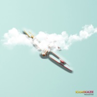 Kamikaze - Single - Peacestar