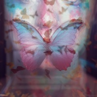 STAY (feat. Wifisfuneral) - Single - SVNDRA