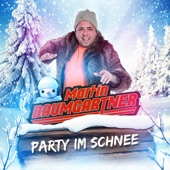 Party im Schnee artwork