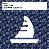 Life Was a Party artwork