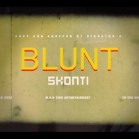 Blunt - Single - Skonti