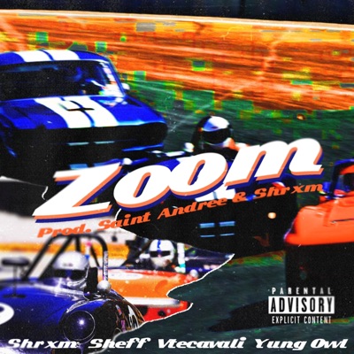Zoom (feat. Vtecavali, Sheff & Yung Owl) - Single