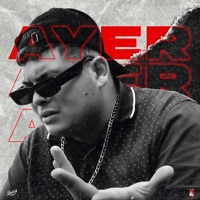 Ayer - Single - Kennel