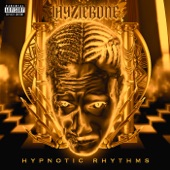 Hypnotic Rhythms artwork