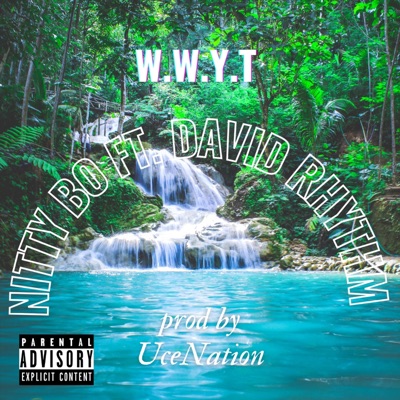 W.W.Y.T (feat. David Rhythm) - Single
