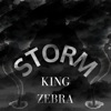 Storm - Single