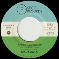 After Laughter (feat. Destani Wolf) - Single - Night Owls