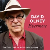 David Olney - For the Sake of the Song - Live