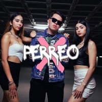 PERREO X - Single - Ice Diavol