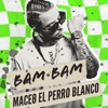 BAM BAM - Single