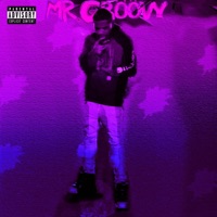 Mr.Gröövy (Mr. Wavëy Deluxe) - Tebtu