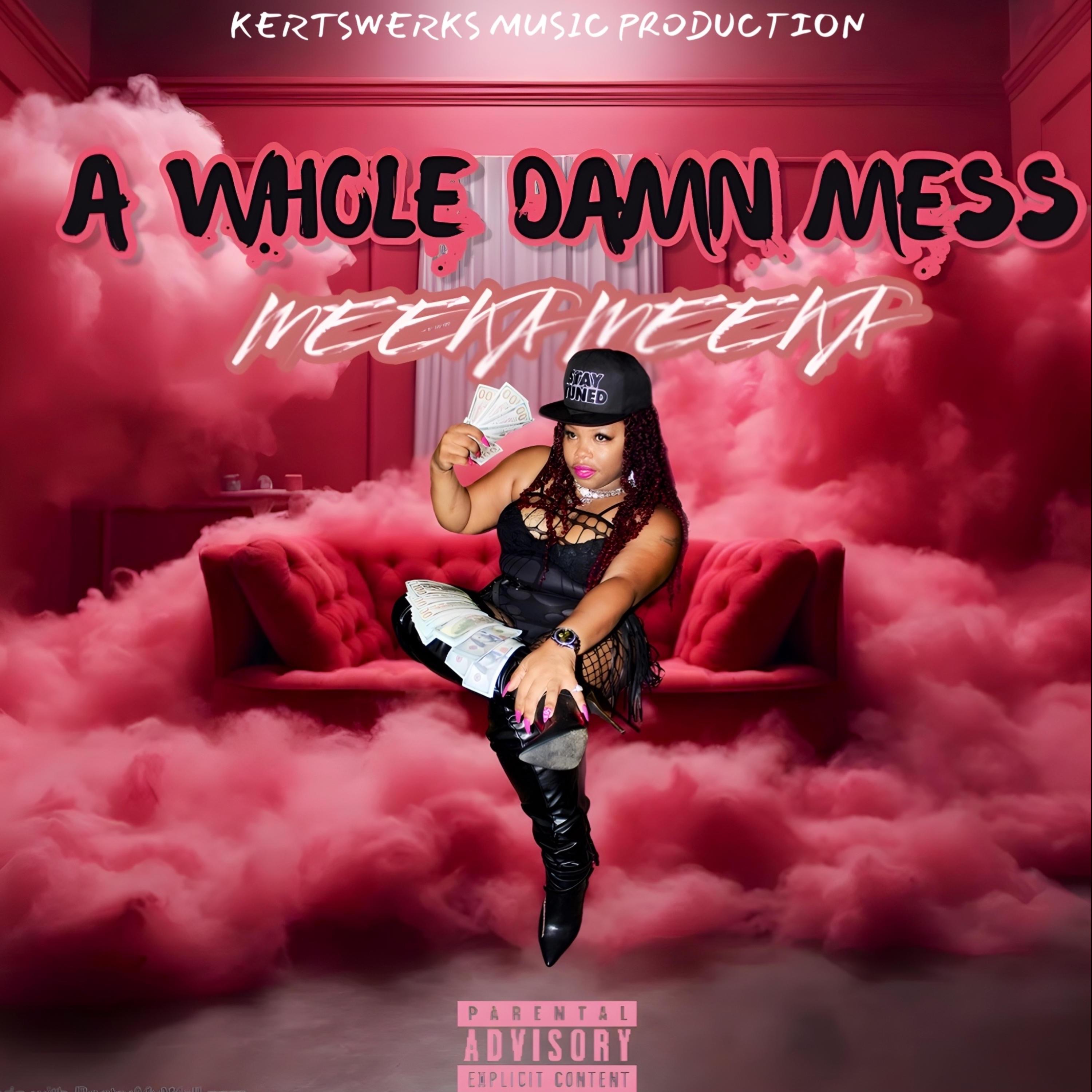 A Whole Damn Mess - Single