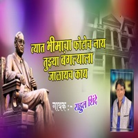 Tyat Bhimacha Photoch Nay Tuzya Bangalyala Jalaych Kay - EP - Rahul Shinde