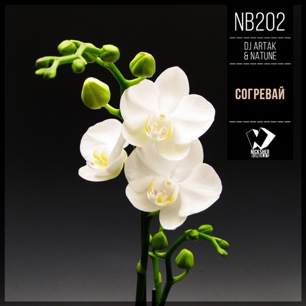 Согревай - Single