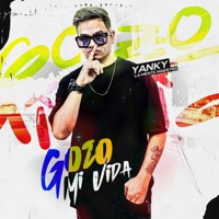 Gozo Mi Vida - Single - Yanky La Mente Maestra