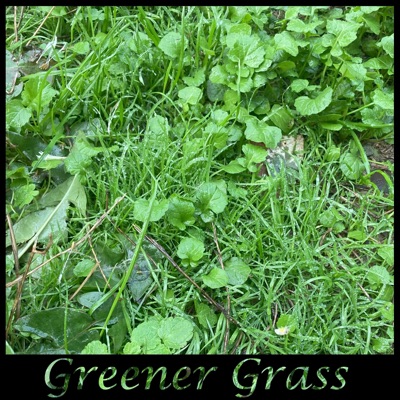 Greener Grass - Single