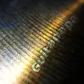 Fou De Toi