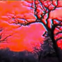 Hypnotize - Single - Team LO