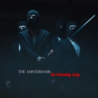 THE AMSTERDAMS