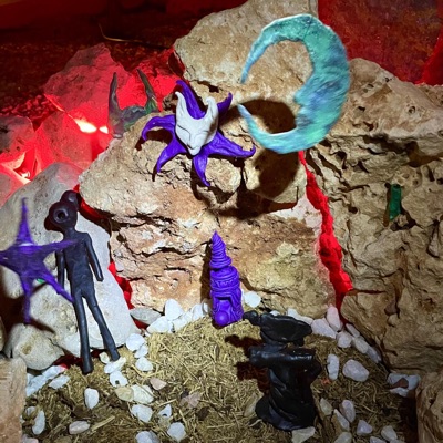 PALOS Y PIEDRAS 2: Las Piedras