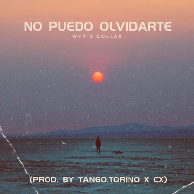 No Puedo Olvidarte - Single