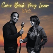 Come Back My Lover (Party Mix) artwork