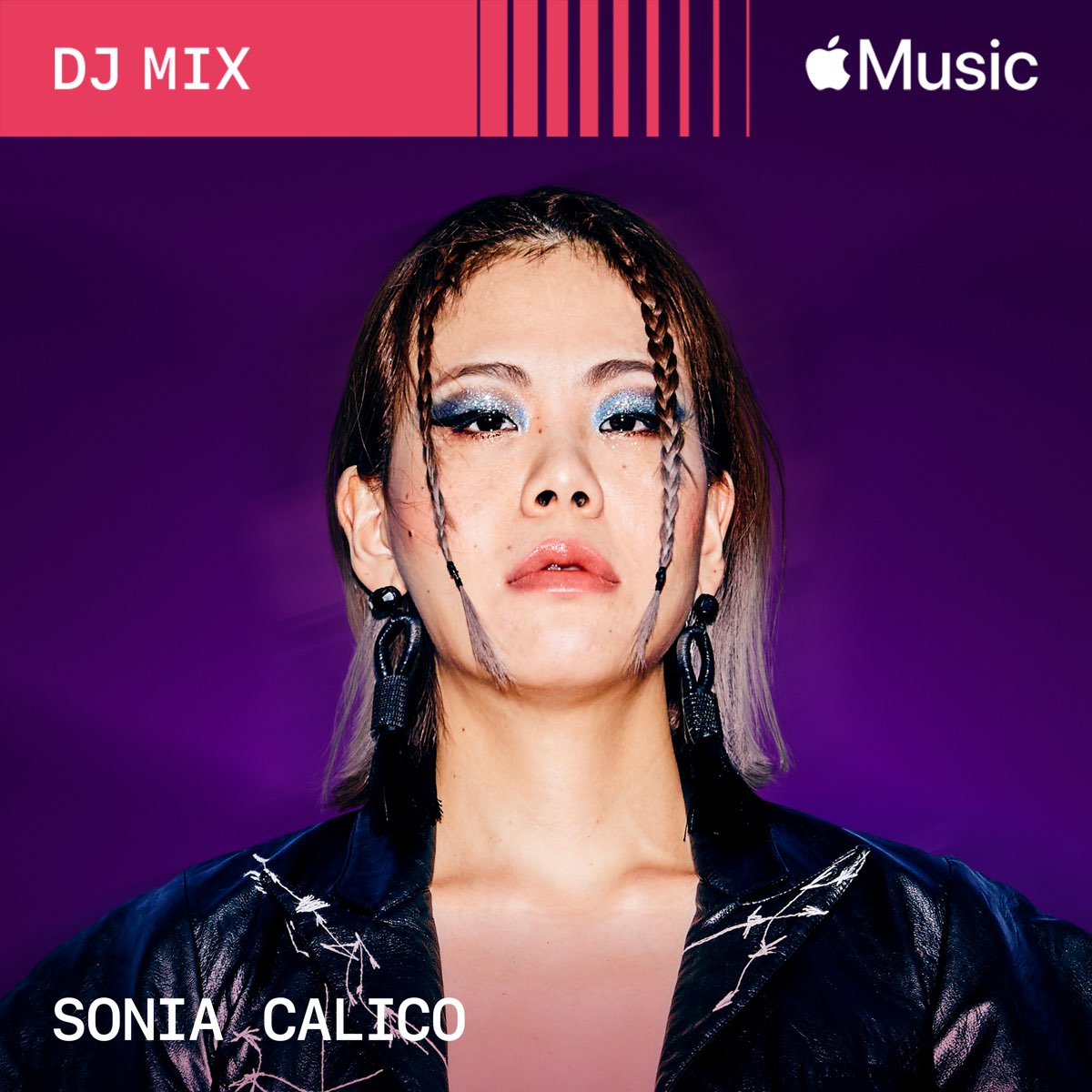new-year-2024-sonia-calico-at-final-dj-mix-album-by-sonia-calico