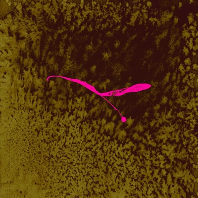 Moyo (feat. Andreas Theobald) [re·imagined] - Single