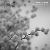 Mimosa Mist artwork