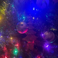 December Weather (everestdidthis) - Single - DOWNFALLPAT!