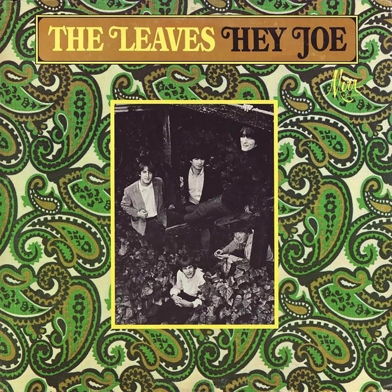 洋楽 The Leaves - Hey Joe The Leaves Hey Joe - YouTube