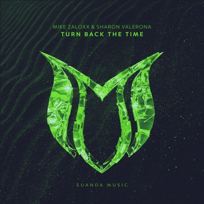 Turn Back the Time - Single