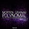 Polynomial (Ranji Remix) - Morten Granau lyrics