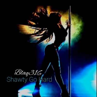 Shawty Go Hard - Single