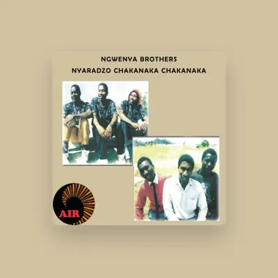 Listen to Ngwenya Brothers, watch music videos, read bio, see tour dates & more!