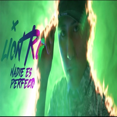 Nadie es perfecto - Single