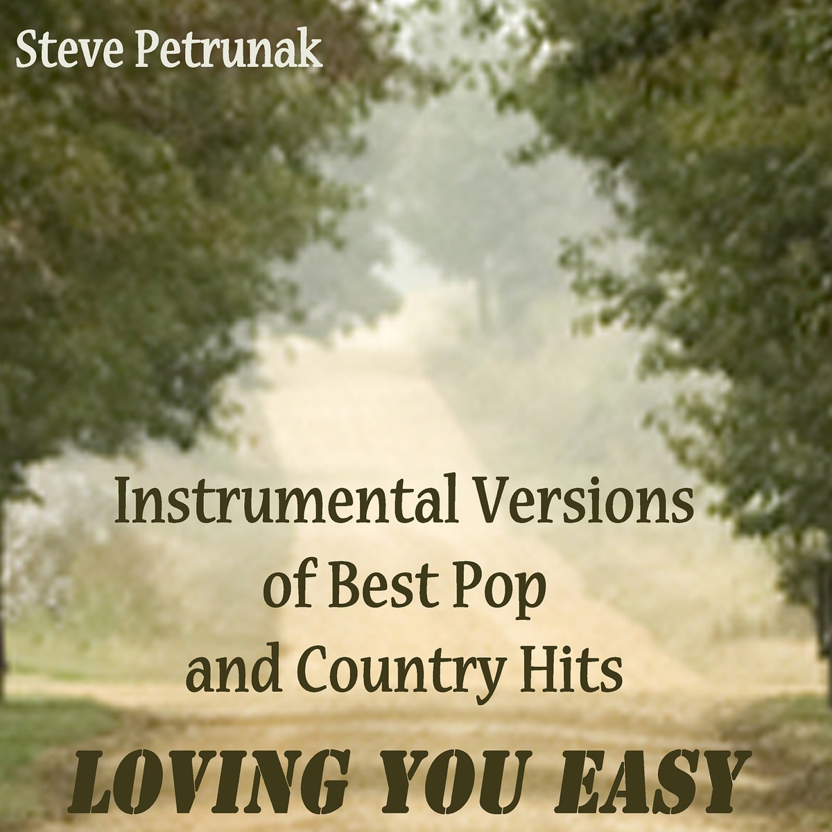 Instrumental Versions of Best Pop and Country Hits - Loving You Easy -  Album by Steve Petrunak - Apple Music