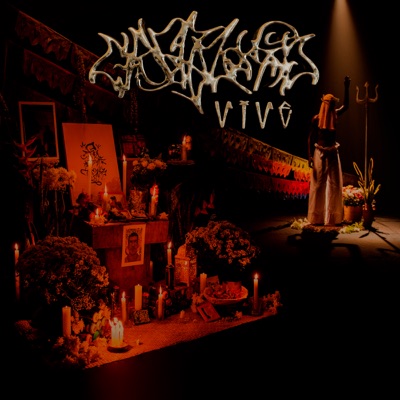 SCANK VIVE - Single