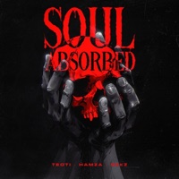 SOUL ABSORBED (feat. HAMZA & NEKZ) - Single - TEOTI