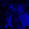 J's Agony - melancholia blue lyrics