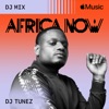 Africa Now: October 2023 (DJ Mix)