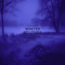 Winter Solitude (slowed + reverb) Vilaxxs & crowit.