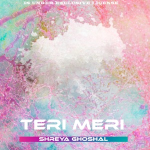 Teri Meri (feat. Rahat Fateh Ali Khan) [Extended Mix]