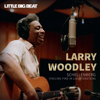 Schellenberg (Feeling Fine in Liechtenstein) - Larry Woodley