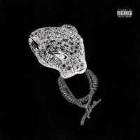 Cartier Jaguar - Single - Bizzy Crook & Foreign Teck