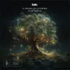 BT - k-means clustering (Tor Remix)