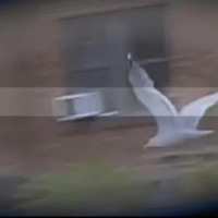 Experience - Single - loverboy shawty